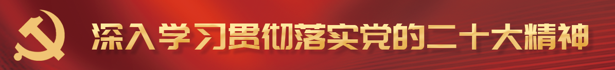 二十大精神