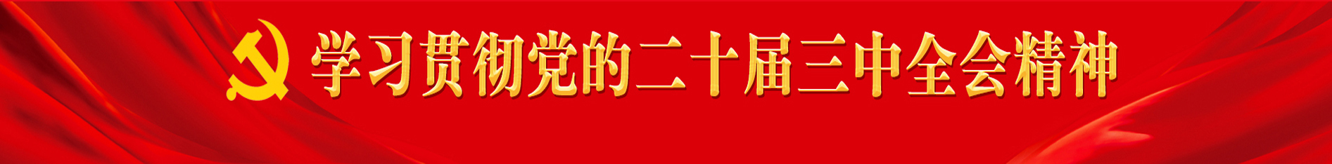 學習貫徹黨的二十屆三中全會精神